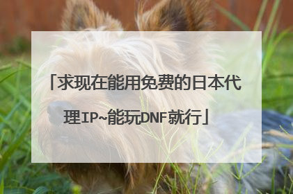 求现在能用免费的日本代理IP~能玩DNF就行