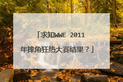 求知WWE 2011年摔角狂热大赛结果?