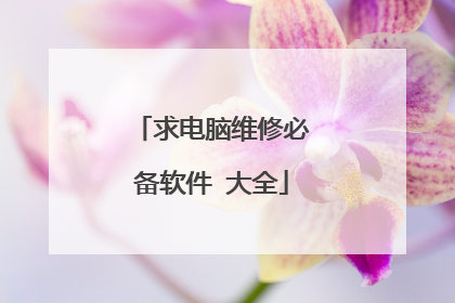 求电脑维修必备软件 大全