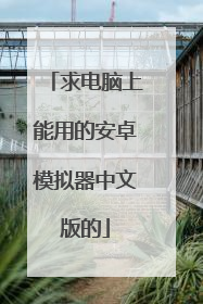 求电脑上能用的安卓模拟器中文版的