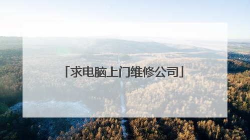 求电脑上门维修公司
