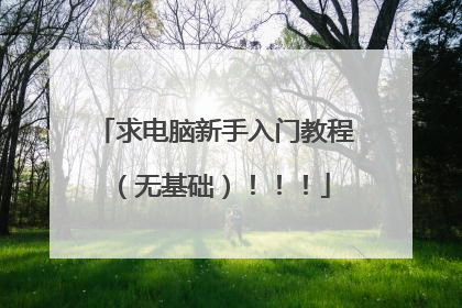 求电脑新手入门教程(无基础)!!!