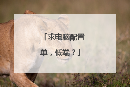求电脑配置单,低端?