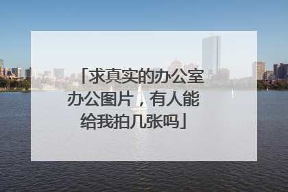 求真实的办公室办公图片，有人能给我拍几张吗