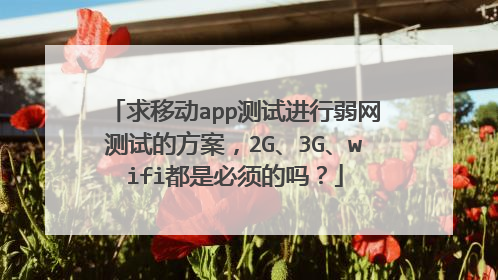 求移动app测试进行弱网测试的方案,2G、3G、wifi都是必须的吗?