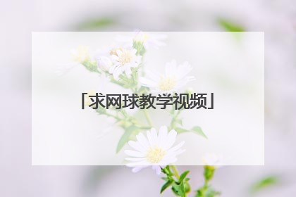 求网球教学视频