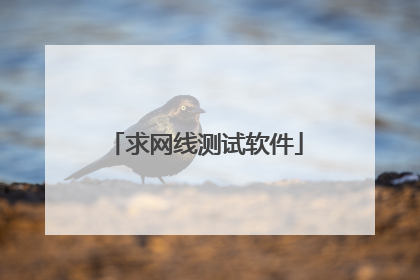 求网线测试软件