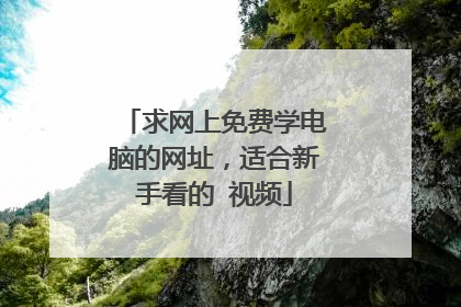 求网上免费学电脑的网址,适合新手看的 视频
