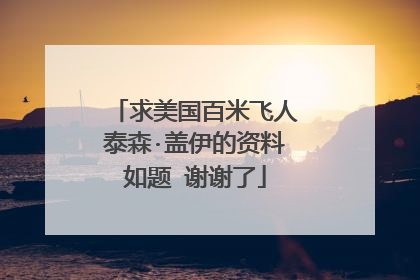 求美国百米飞人泰森·盖伊的资料如题 谢谢了