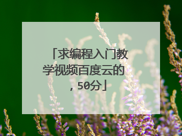 求编程入门教学视频百度云的,50分