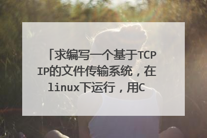 求编写一个基于TCPIP的文件传输系统，在linux下运行，用C编写 有客户端和服务器端 求高人棒棒忙