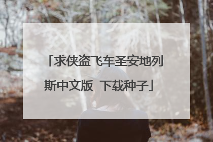求侠盗飞车圣安地列斯中文版 下载种子