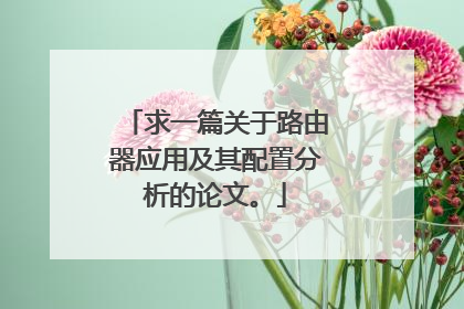 求一篇关于路由器应用及其配置分析的论文。