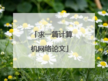 求一篇计算机网络论文
