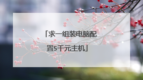 求一组装电脑配置5千元主机
