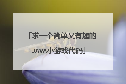 求一个简单又有趣的JAVA小游戏代码