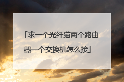 求一个光纤猫两个路由器一个交换机怎么接