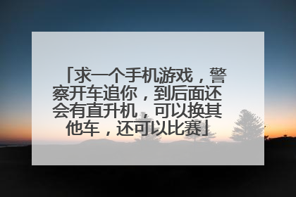 求一个手机游戏,警察开车追你,到后面还会有直升机,可以换其他车,还可以比赛