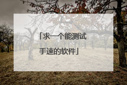 求一个能测试手速的软件