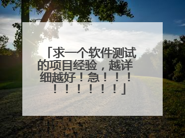 求一个软件测试的项目经验,越详细越好!急!!!!!!!!!