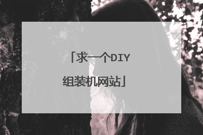 求一个DIY组装机网站