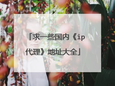 求一些国内《ip代理》地址大全