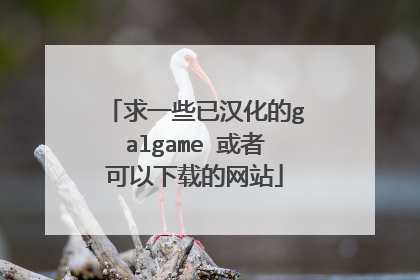 求一些已汉化的galgame 或者可以下载的网站
