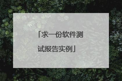 求一份软件测试报告实例