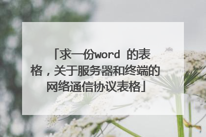 求一份word 的表格,关于服务器和终端的网络通信协议表格