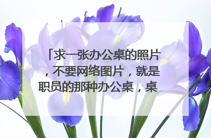 求一张办公桌的照片，不要网络图片，就是职员的那种办公桌，桌子上有文件夹什么的