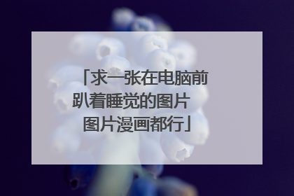 求一张在电脑前趴着睡觉的图片 图片漫画都行