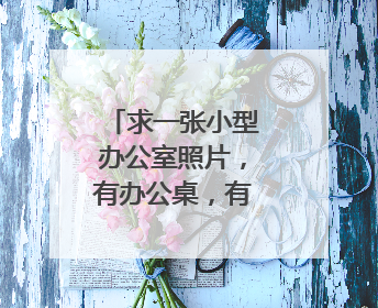 求一张小型办公室照片，有办公桌，有文件柜就行，简单点的