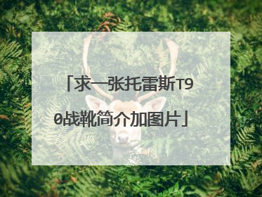 求一张托雷斯T90战靴简介加图片