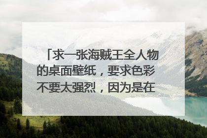 求一张海贼王全人物的桌面壁纸,要求色彩不要太强烈,因为是在办公室电脑做桌面,不能太过扎眼~