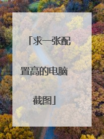 求一张配置高的电脑截图