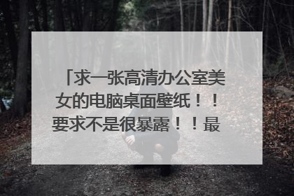 求一张高清办公室美女的电脑桌面壁纸!!要求不是很暴露!!最好是有气质的!!!