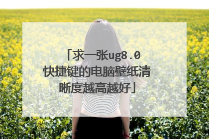 求一张ug8.0快捷键的电脑壁纸清晰度越高越好