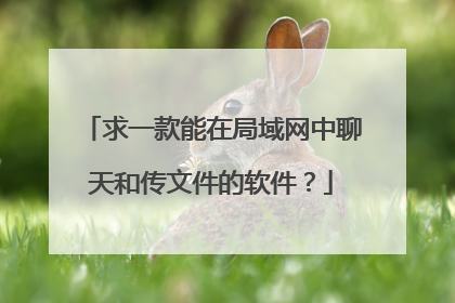 求一款能在局域网中聊天和传文件的软件？