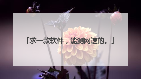求一款软件,能测网速的。