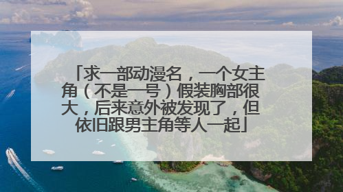 求一部动漫名，一个女主角（不是一号）假装胸部很大，后来意外被发现了，但依旧跟男主角等人一起