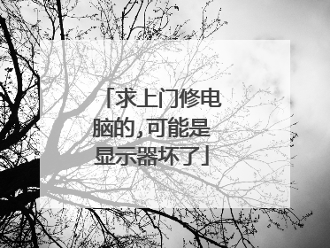 求上门修电脑的,可能是显示器坏了
