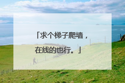 求个梯子爬墙，在线的也行。