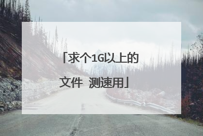 求个1G以上的文件 测速用