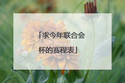 求今年联合会杯的赛程表