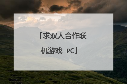 求双人合作联机游戏 PC