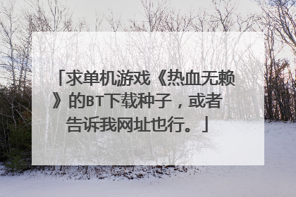 求单机游戏《热血无赖》的BT下载种子,或者告诉我网址也行。