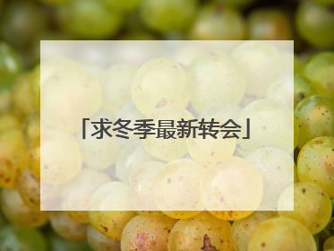 求冬季最新转会