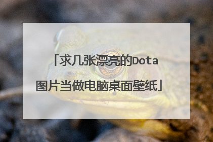 求几张漂亮的Dota图片当做电脑桌面壁纸