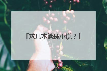 求几本篮球小说?
