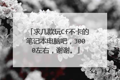 求几款玩Cf不卡的笔记本电脑吧,3000左右,谢谢。
